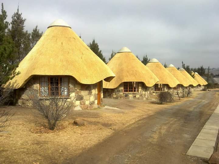 Premium Quality Thatch Materials